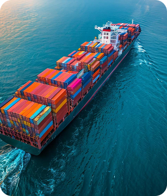 what we do elementor io optimized